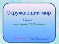 Презентация по окружающему миру на тему Кто такие рыбы? (1 класс)