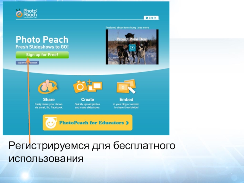 Photopeach программа на русском.