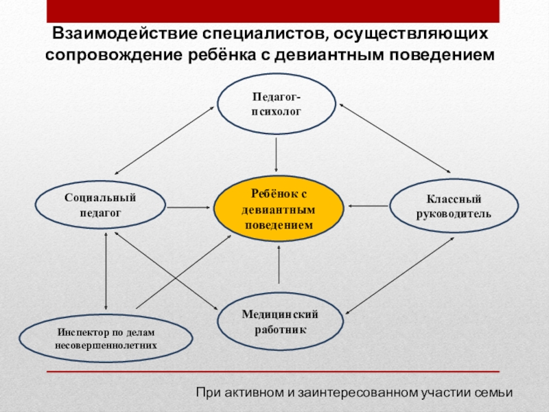 Взаимодействие специалистов