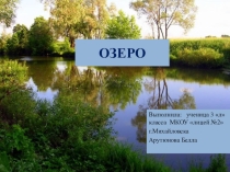 Презентация  Озеро-природное сообщество