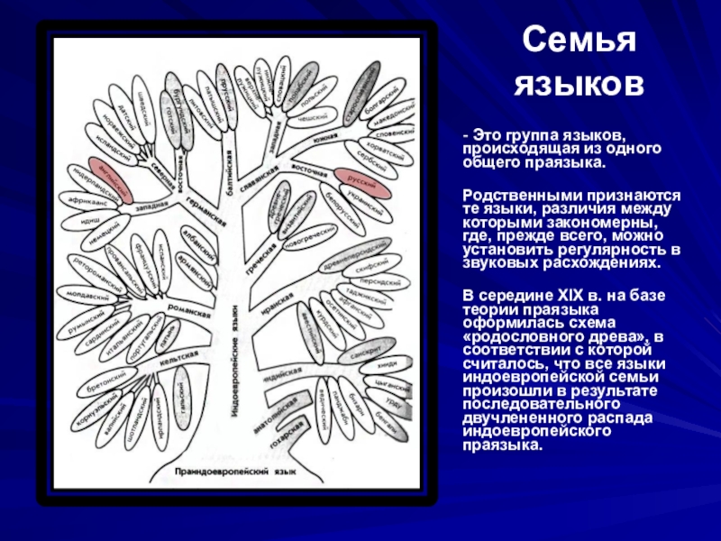 Семья языкова. Семьи языков. Семьи языков схема. Русский язык группа языков семья. Семьи языков из праиндоевропейского.