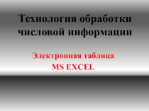 Технология обработки числовой информации