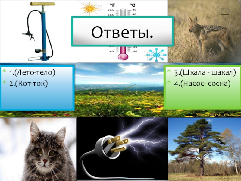 Наука ответы. Кот ток. Кот + кот = ток. Ток + кот = ток. Ток кот картинка.