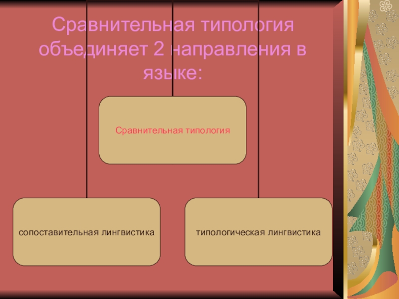 Сравнительная типология английского