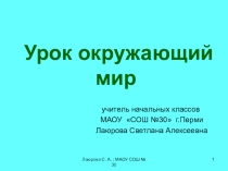 Презентация по окружающему миру на тему Животные леса (4 класс)