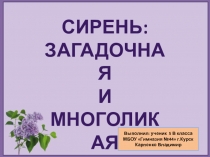 Презентация по биологии на тему Деревья и кустарники гимназии - сирень