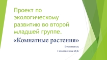 Проект по экологии во 2 младшей группе