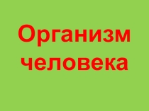 Презентация : Организм человека