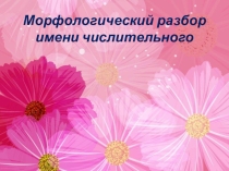 Презентация по русскому языку Морфологический разбор имени числительного (6 класс)