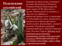 Презентация по Окружающему миру на тему: Растения вокруг нас