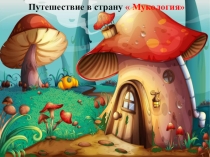 Презентация по окружающему миру на тему грибы 2 класс