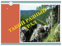 Презентация Уральского экономического района по географии.