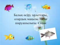 Презентация Балык (7 класс)