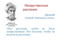 Презентация по окружающему миру на тему Лекарственные растения (2 класс)