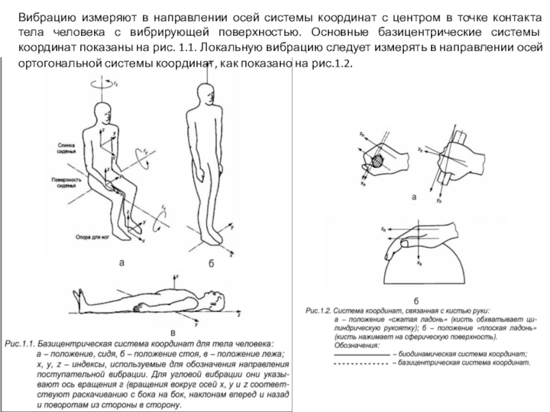Направление оси. Направление осей локальной вибрации. Как измерить вибрации человека. Направление осей при измерениях общей и локальной вибрации. Система координат для вибрации.