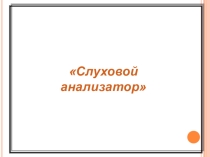 Презентация по биологии на тему Слуховой анализатор