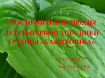 Презентация проекта Восприятие природы в первой младшей группе