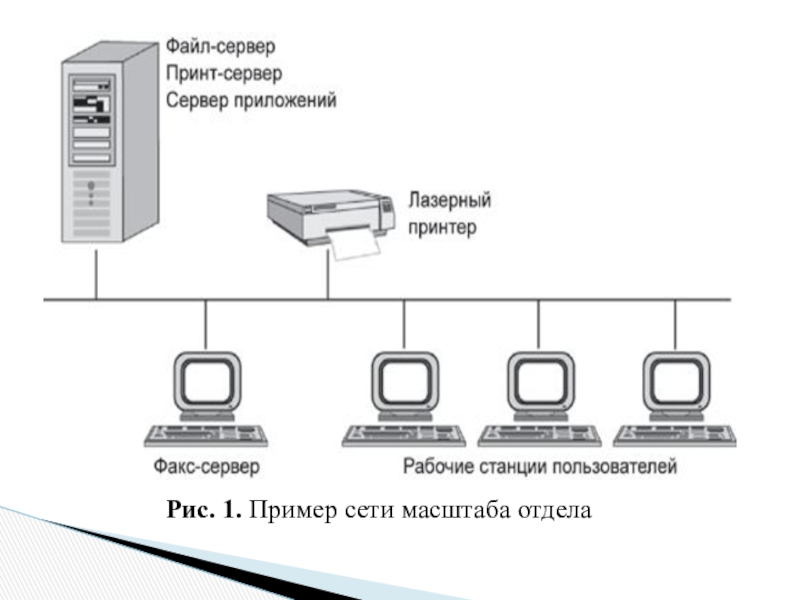 Масштаб сети. Серверная архитектура сети ЛВС. Пример сети масштаба отдела. Файл-серверы и принт-серверы. Архитектура корпоративных сетей.