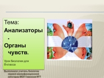 Урок. Презентация.Анализаторы. Органы чувств