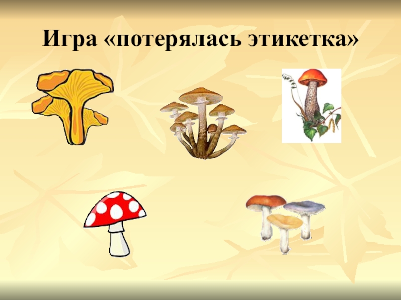 А 4 грибы 3. Царство грибов 2 класс. Царство природы грибы 2 класс. Грибы 2 класс. Царство грибов игра.