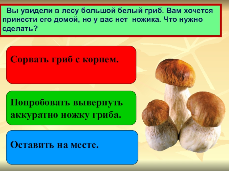 Грибы 2 класс перспектива презентация