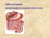 Презентация по теме Пищеварительная система