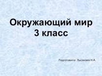 Презентация по окружающему миру на тему Разнообразие природы родного края (3 класс)