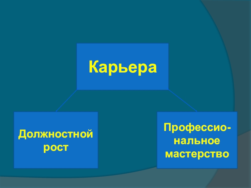 Моя профессиональная карьера проект