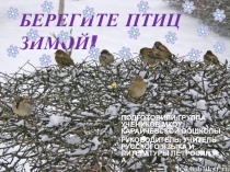 ПРЕЗЕНТАЦИЯ БЕРЕГИТЕ ПТИЦ ЗИМОЙ!