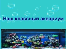 Презентация к уроку ИЗО Наш классный аквариум