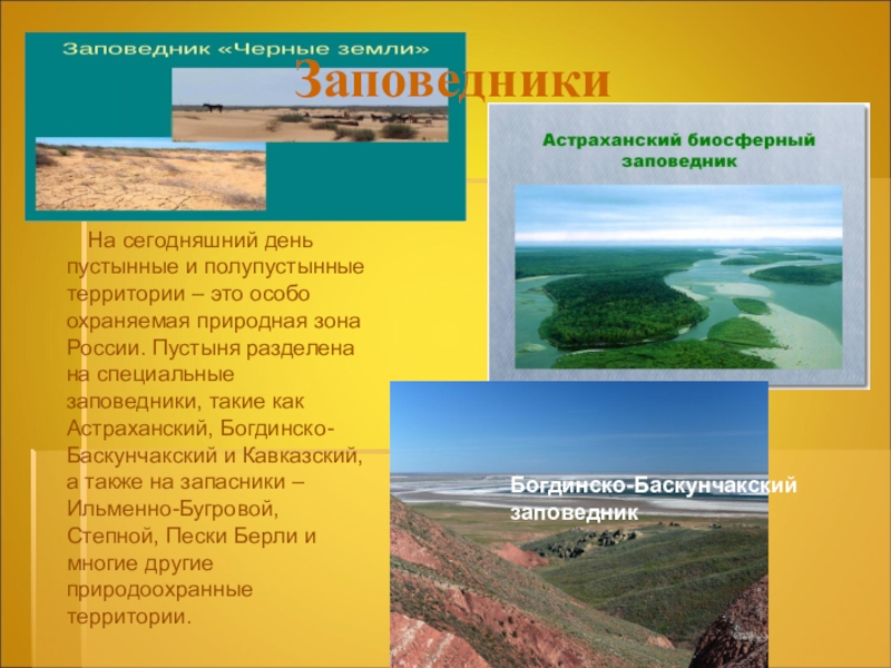 Запиши названия заповедников в пустыне. Заповедники пустынь и полупустынь России. Заповедники в пустыне. Заповедники в зоне пустынь. Заповедники пустыни в России.