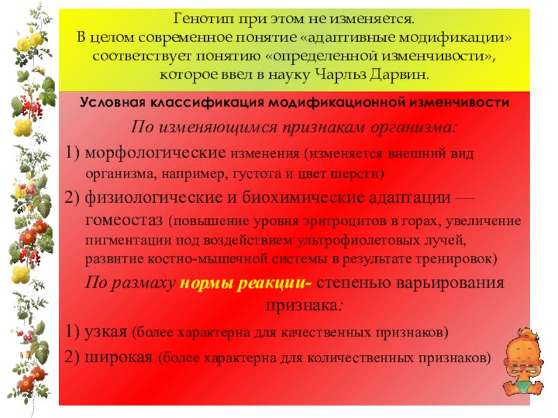 Презентация на тему фенотипическая изменчивость 9 класс