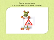 Презентация по биологии на тему Охрана земноводных и их роль в природе и жизни человека