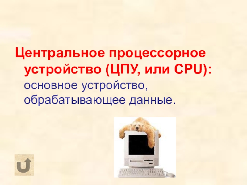 Центральное процессорное устройство цпу эл предназначено для контроля и управления не более