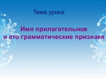 Презентация к уроку русского языка на тему Имя прилагательное и его грамматические признаки