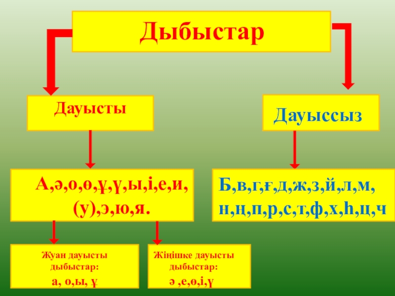 Дауыссыз дыбыстар түрлері