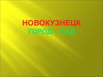 Презентация урока Сохраним город экологически чистым