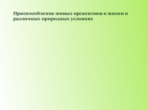 Презентация к уроку окружающего мира Корабль пустыни