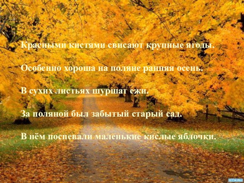 Презентация по русскому языку на тему Второстепенные члены предложения. Определение. Красными кистями свисают крупные ягоды.Особенно хороша на поляне ранняя осень.В сухих Красными кистями свисают крупные ягоды.Особенно хороша на поляне ранняя осень.В сухих листьях шуршат ежи.За поляной был забытый