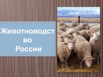 Презентация по географии на тему Животноводство России, 9 класс