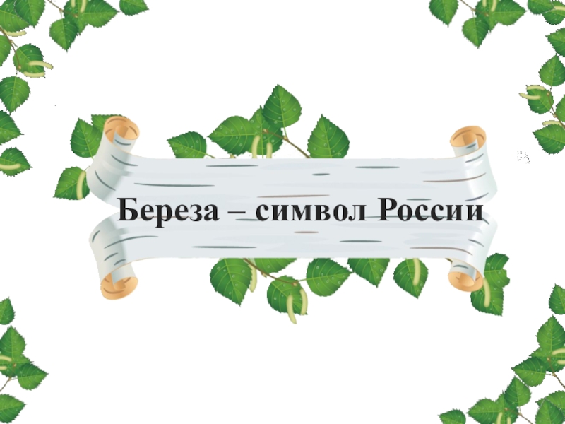 Презентация Классный час на тему: Береза-символ России