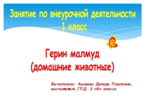 Презентация по внеурочной деятельности на тему Животные (1 класс)