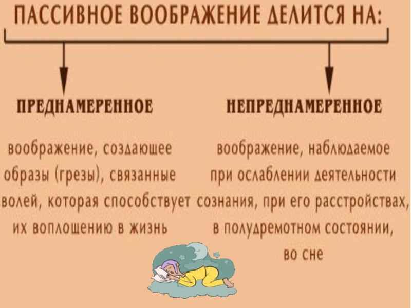 Воображение биология 8 класс презентация