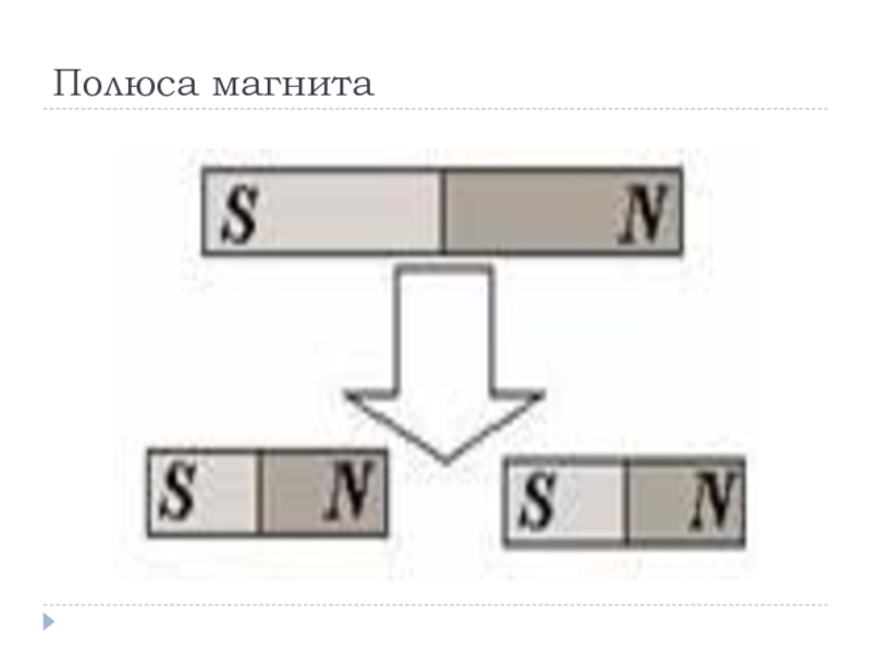 Поле 11