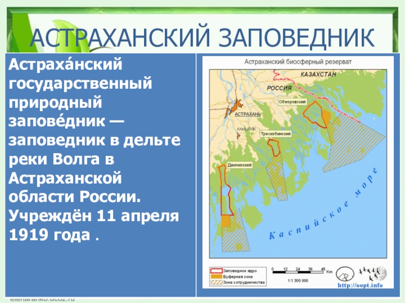 Астраханский заповедник карта