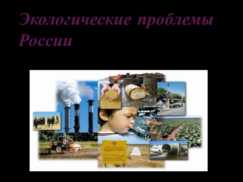 Презентация Презентация к всероссийскому экологическому уроку Дом,в котором я живу