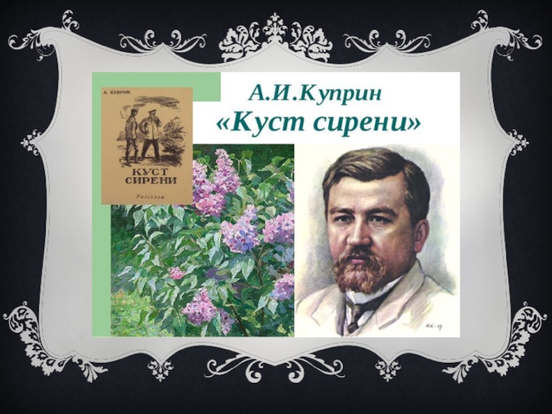 Куст сирени книга фото