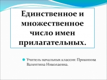 Презентация по русскому языкуЕдинственное и множественное число имен прилагательных