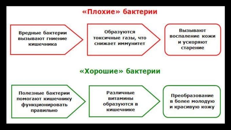 Презентация по биологии на тему Бактерии (7 класс)