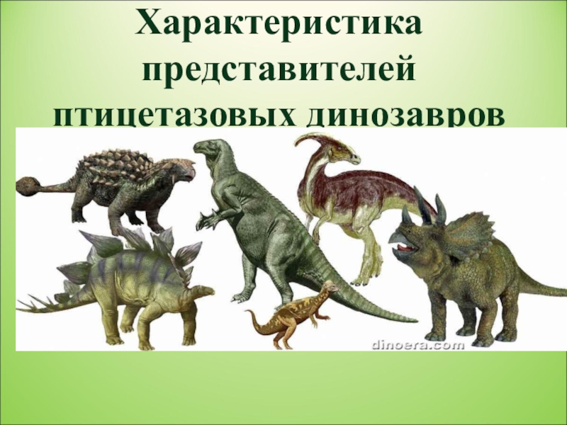 Презентация Презентация по биологии Характеристика представителей птицетазовых динозавров.